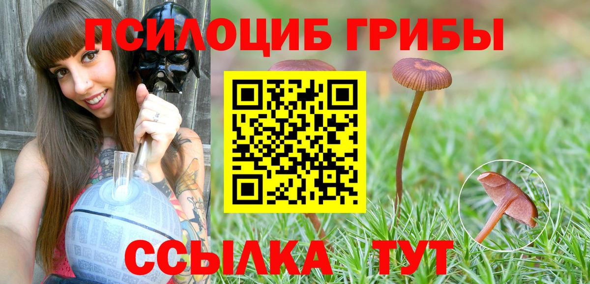 Галлюциногенные грибы Magic Shrooms Михайловка